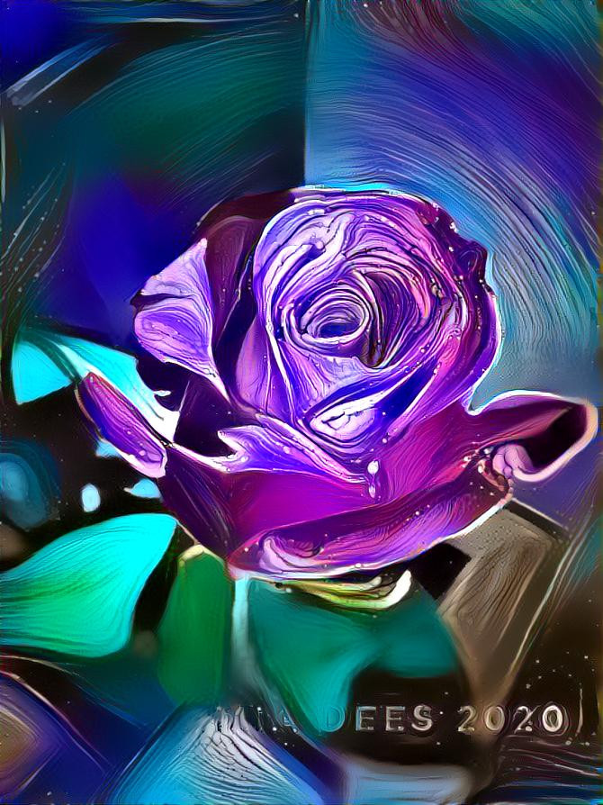 Purple Rose