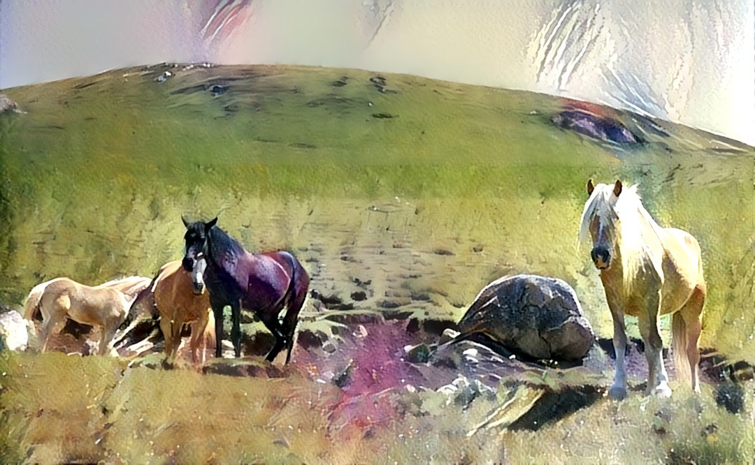 See the horses in motion: https://www.instagram.com/p/B-o1CFTj6mF/