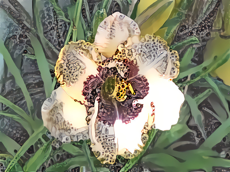 Daylily #2.