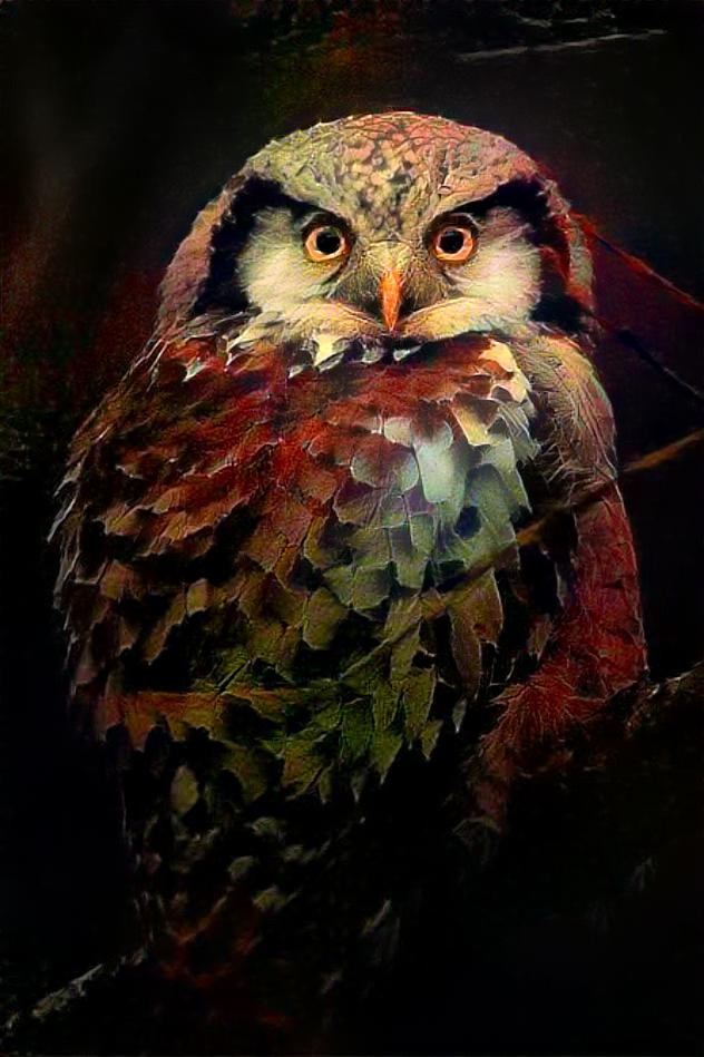 Autumn Color Owl