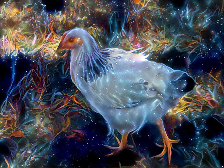 Psychedelic Chicken 