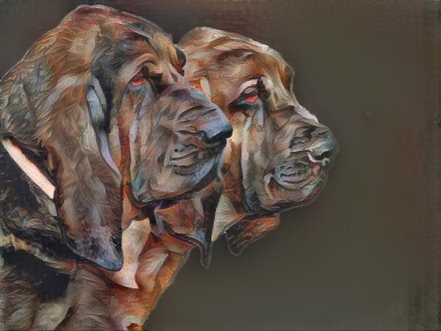 My bloodhound boys: Vondracek and his son Peppino