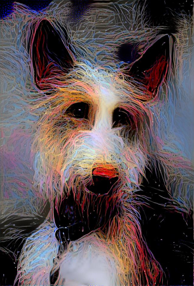 podenco