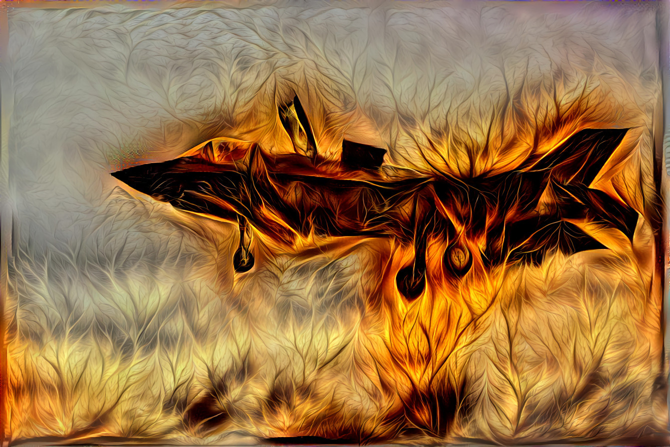 fire jet