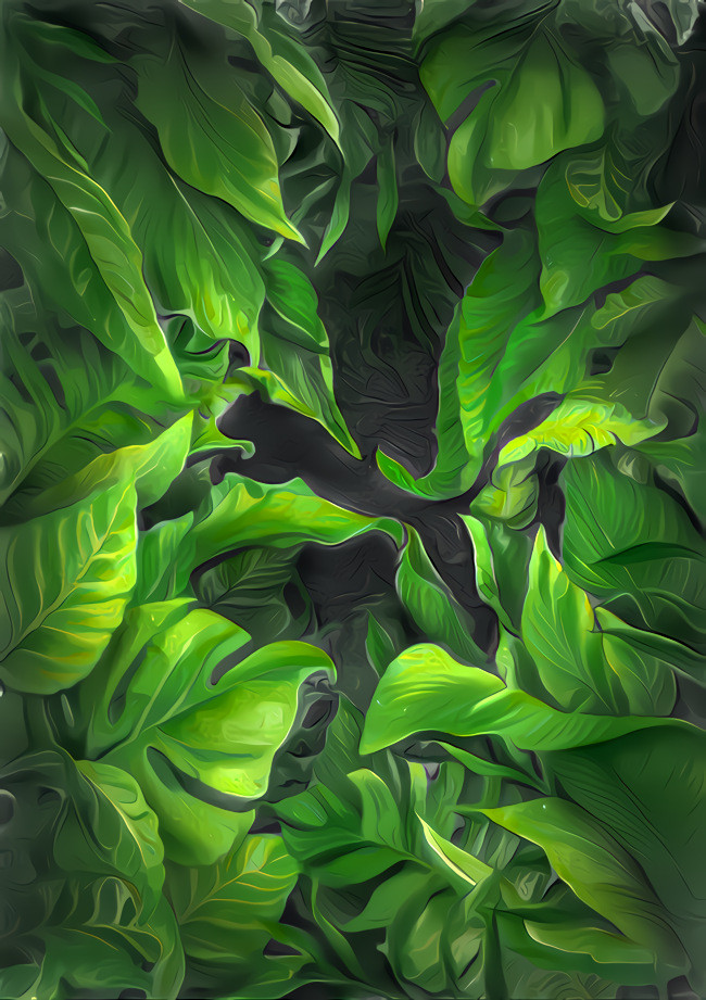 Tropical leaves