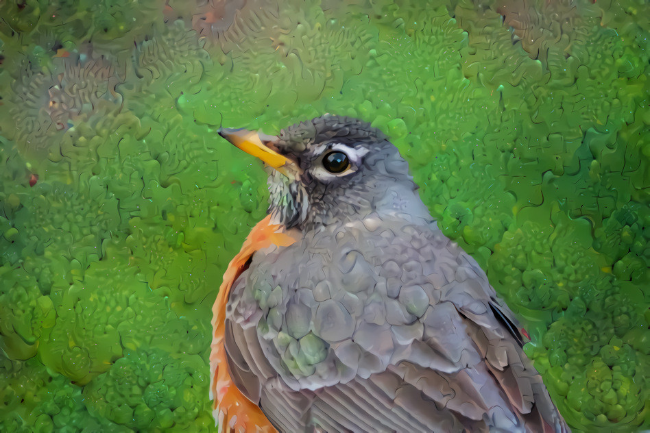 MaidenRobin