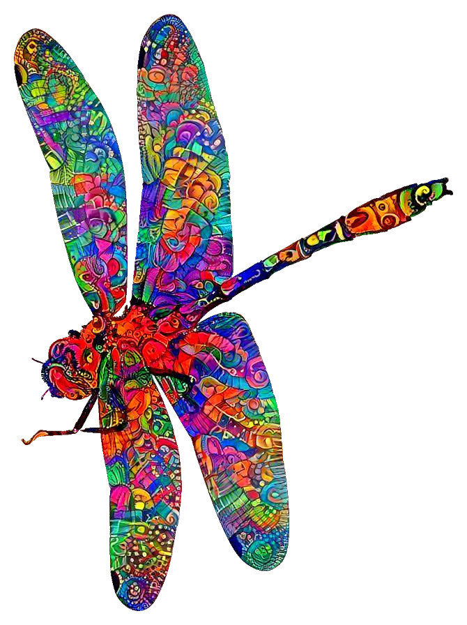 dragonfly2