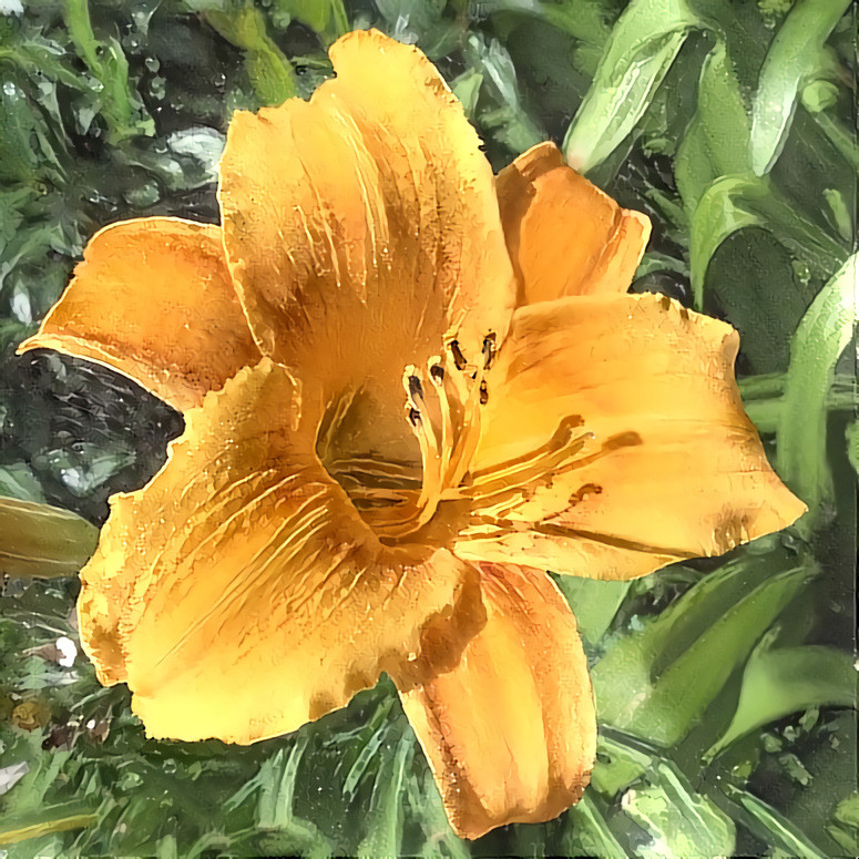 Sunny Day Lily 08.20 | MR D 100% Colors