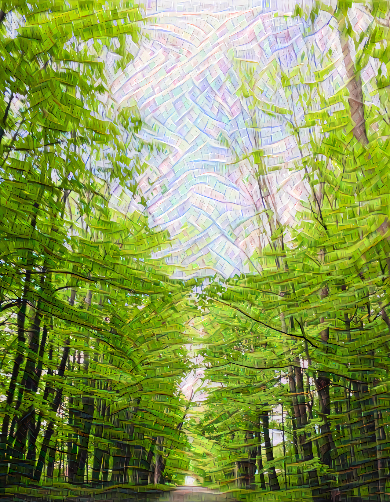 Tree Tunnel In Vermont - Going Up To Get Down