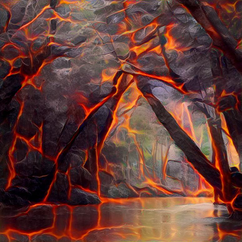 Tropical forest on fire