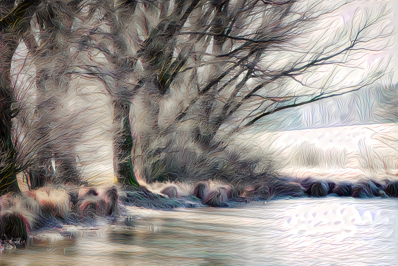 Frozen Lake and Trees