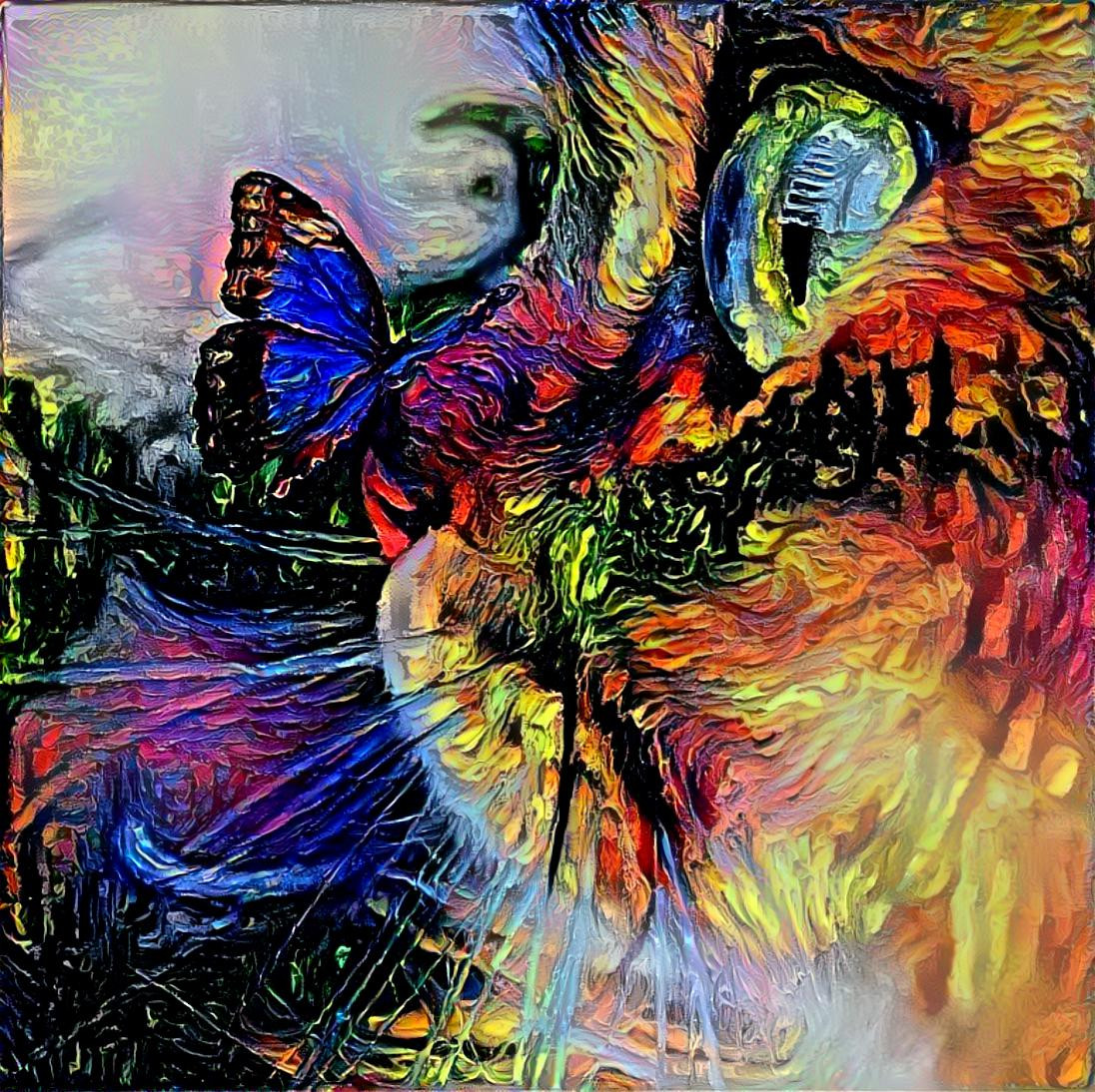 Butterflies