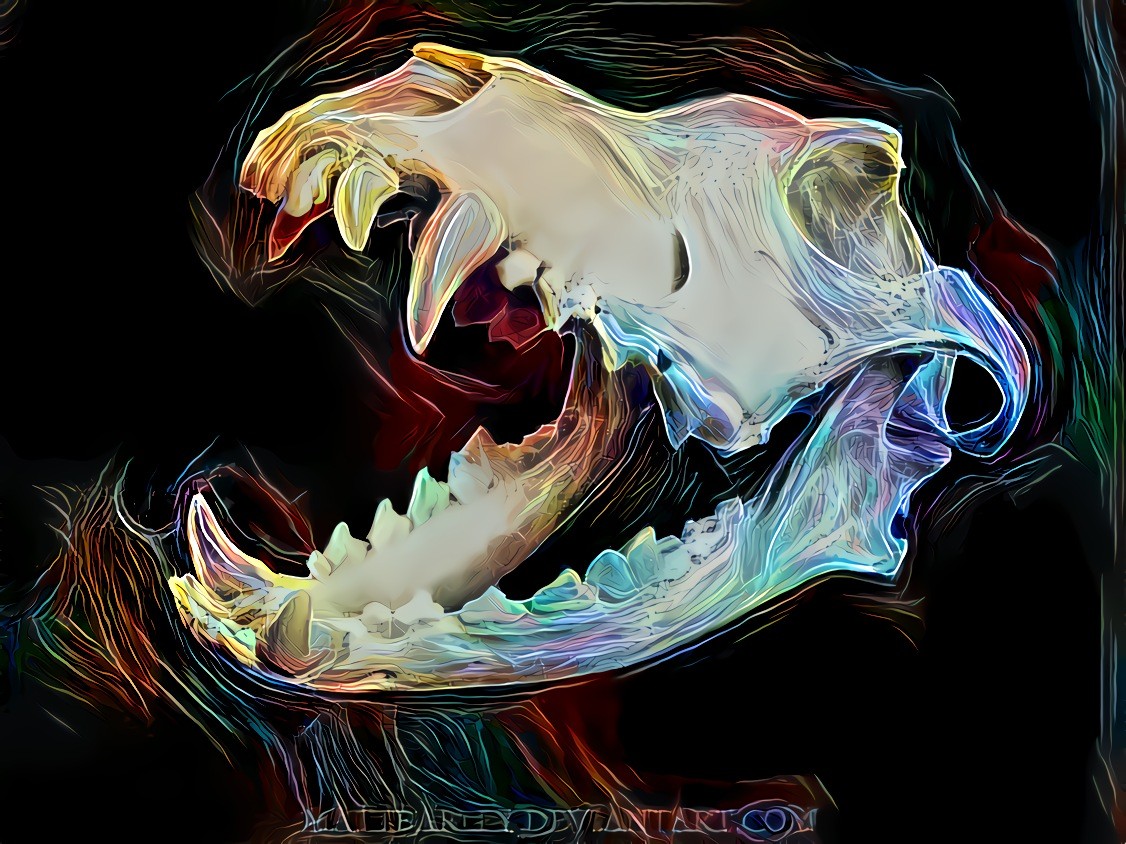 Skull