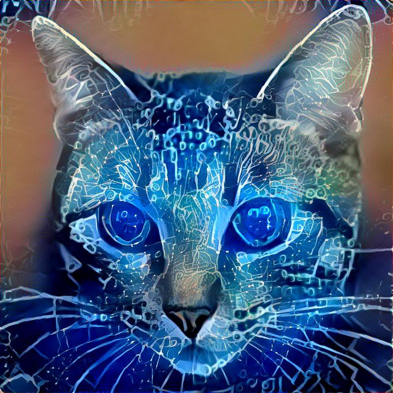 Style: Picture by geralt (Pixabay) ; Photo: StyleGAN2 generated cat