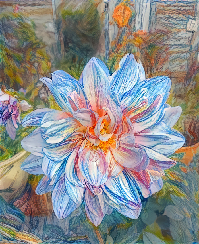 Dahlia