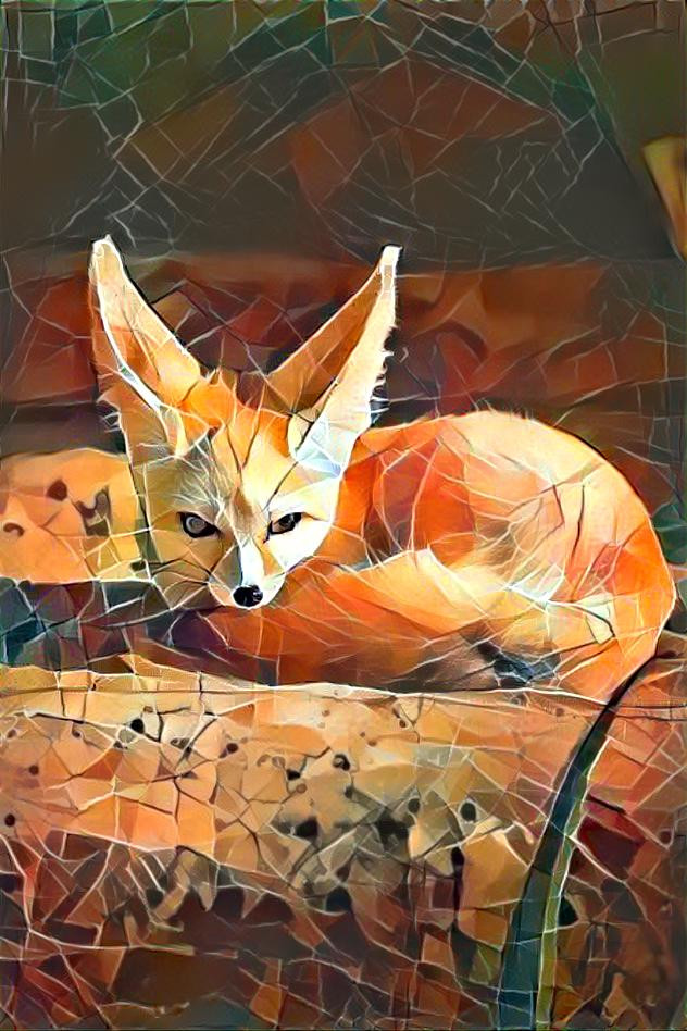 Fox