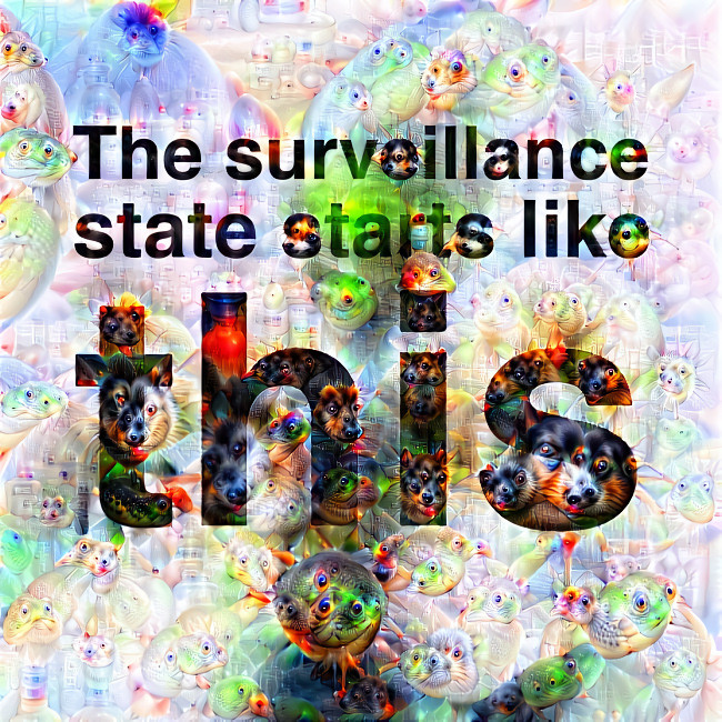 The surveillance state starts like this