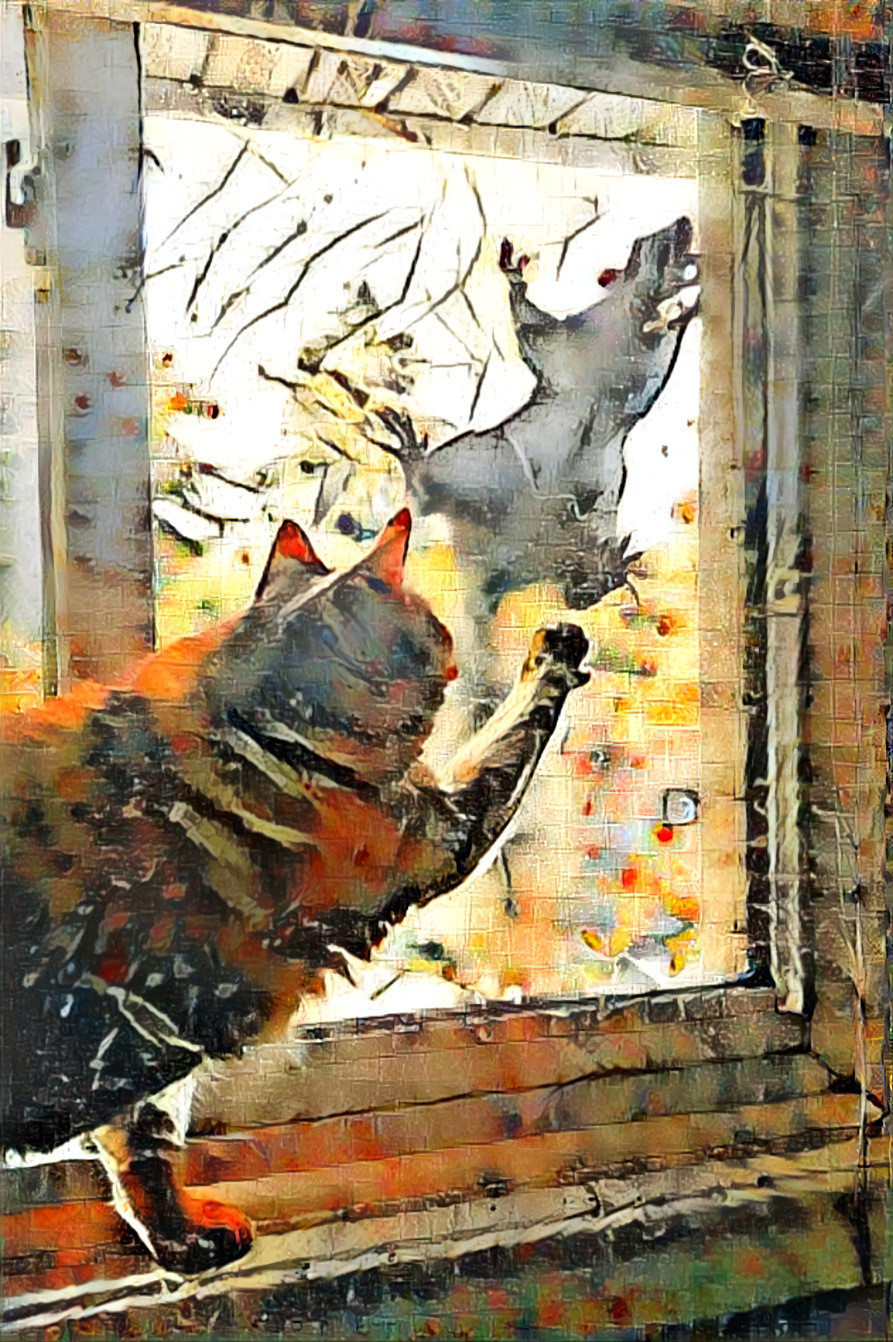 My cat Tiger trying to get the attention of a squirrel outside the window!