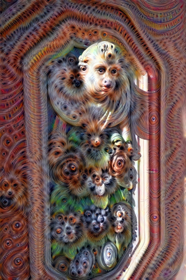 Angel in Dreams - Door in Duderstadt