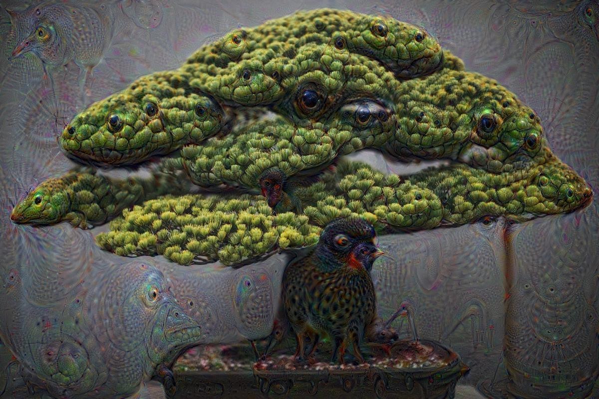 Bonsai