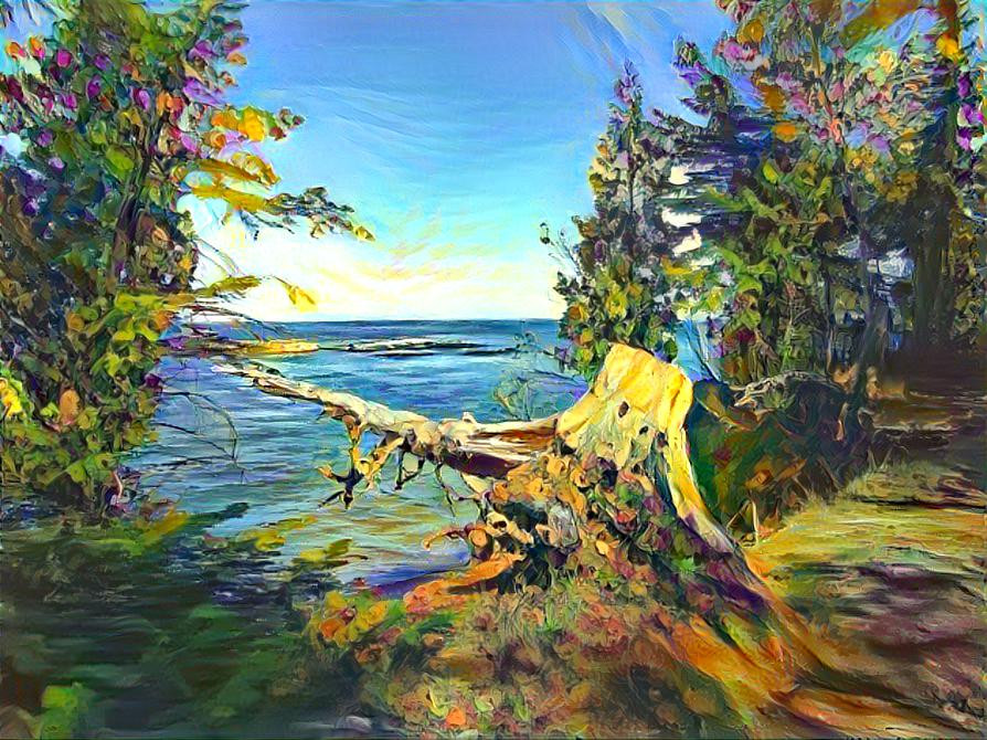 Lake Superior Shoreline