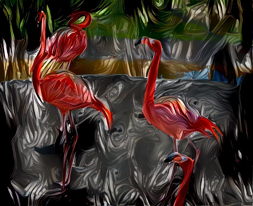 Flamingos + Balance