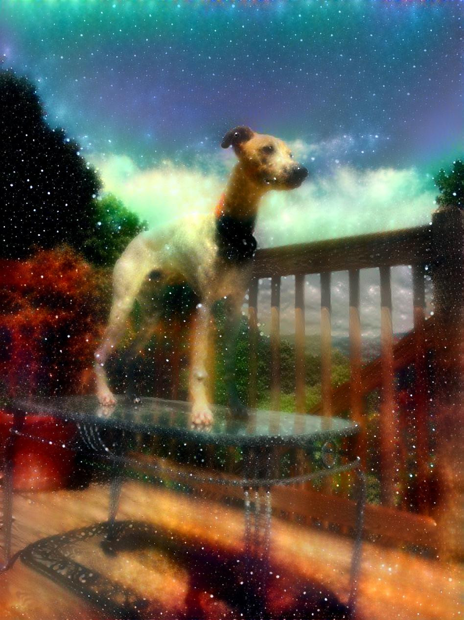 Space Whippet