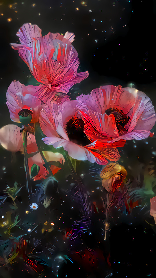 ♥ Midnight Flora