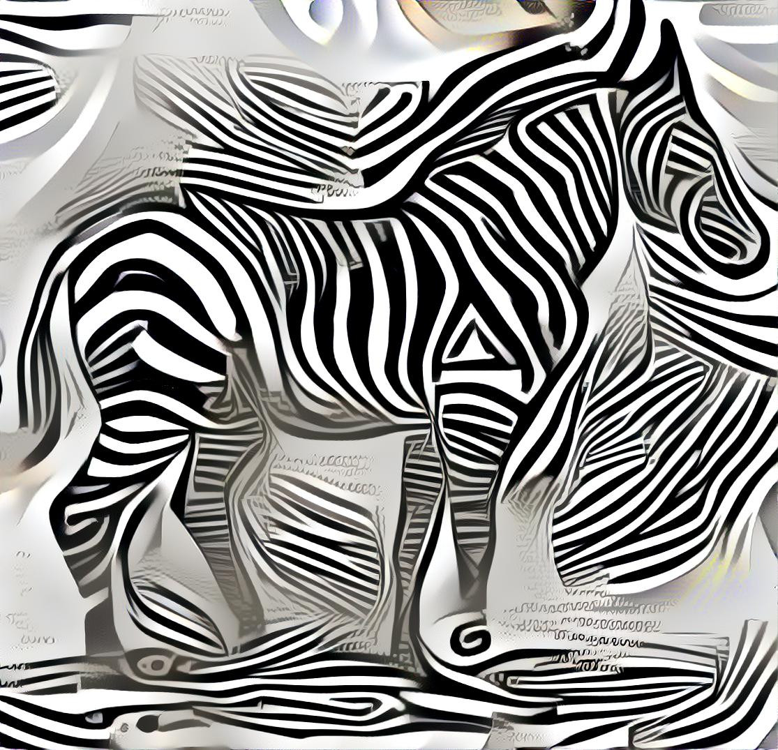 Zebra