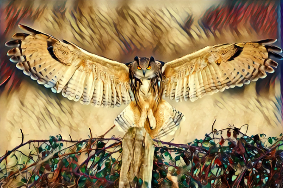 The Golden Flight of the Owl