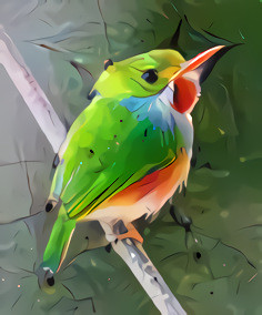 Artful Tropical Bird