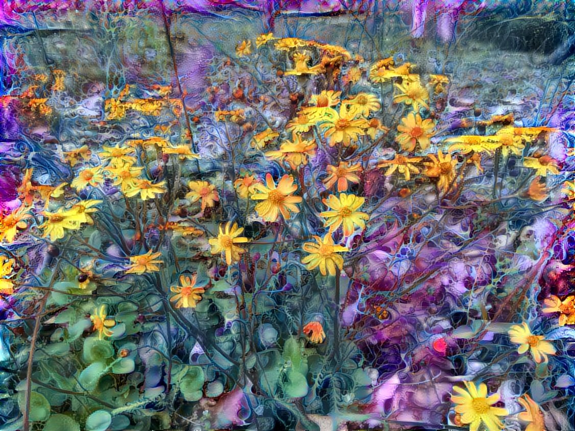 Wildflowers in the Woods