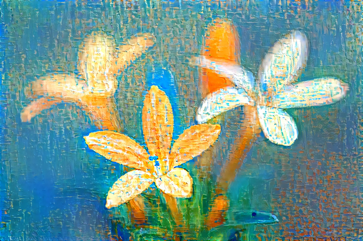 Collomia-grandiflora abstract 73