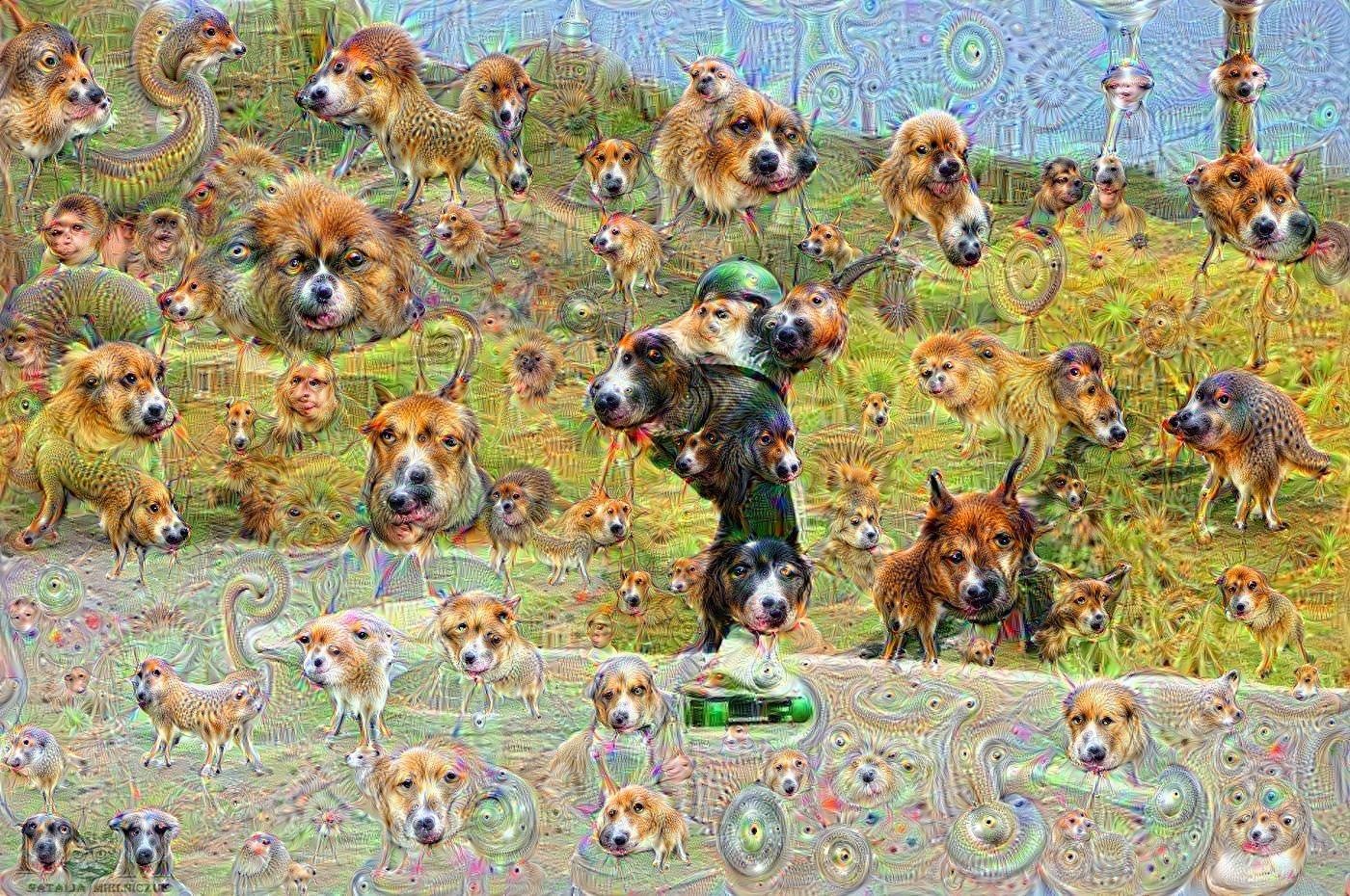 El Bueno Deep Dream level 5  - Doge