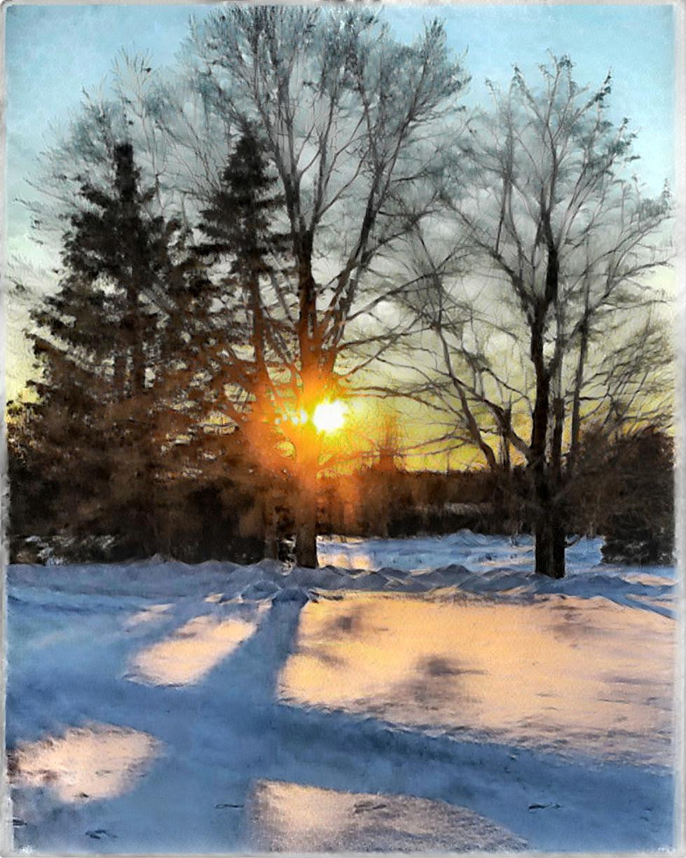 Sunset through the trees