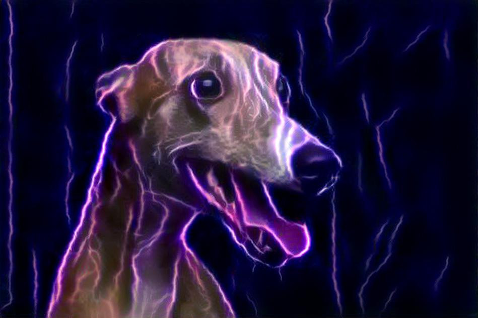 spooky greyhound