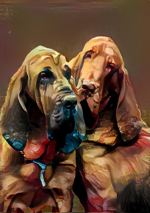 My bloodhound boys  Peppino & Rufus