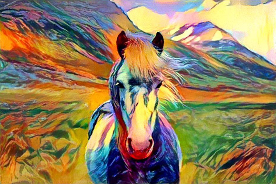 Colorful Horse