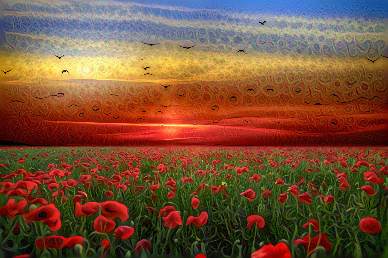 Sunset on Birds and Poppies