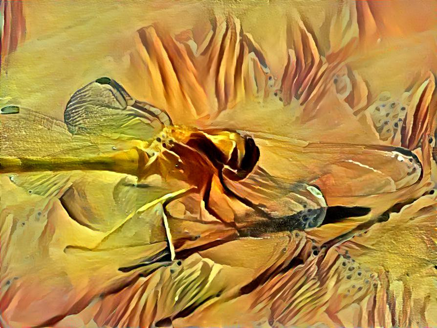 Dragon Fly