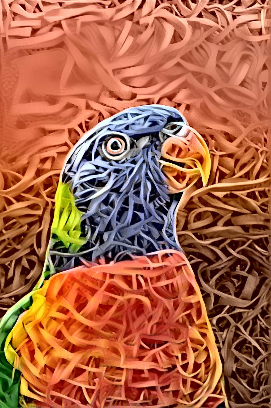 parrot