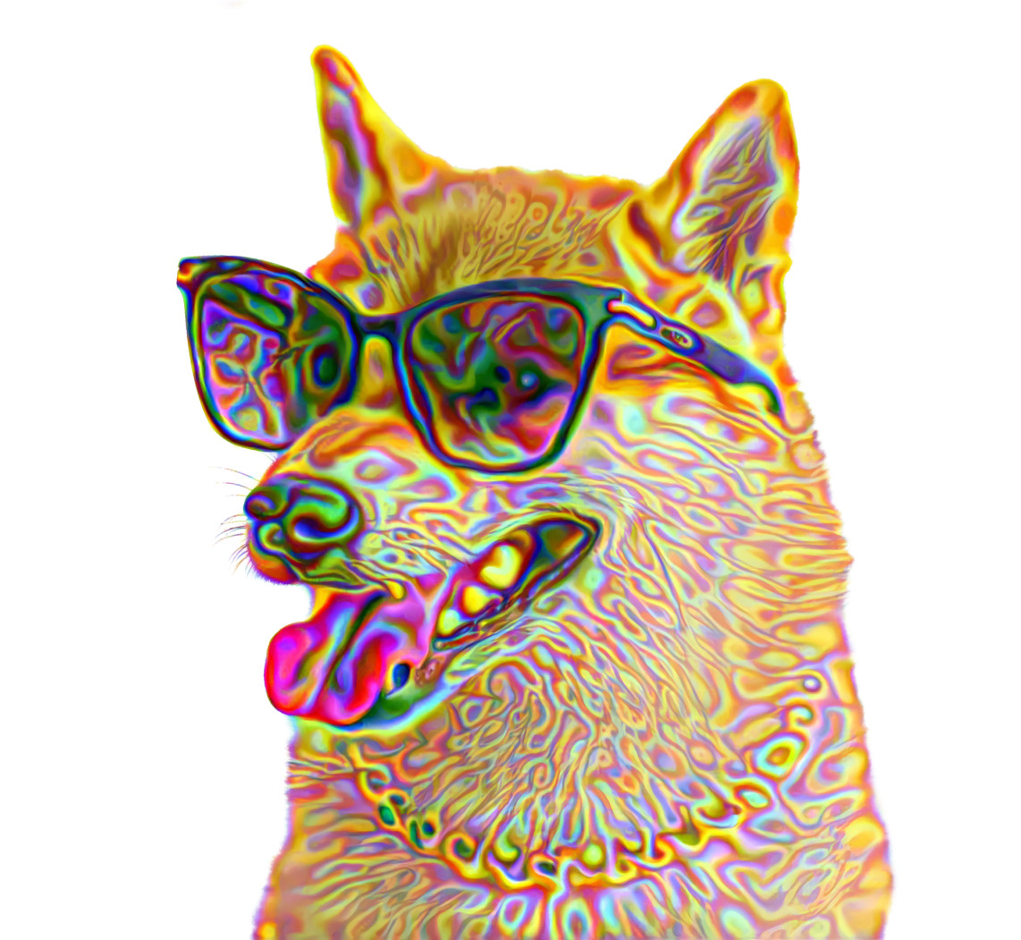 Psychedelic Dog With Glasses