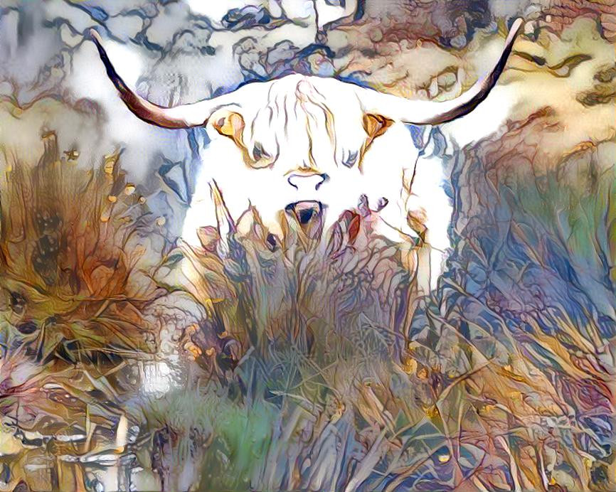 Vache