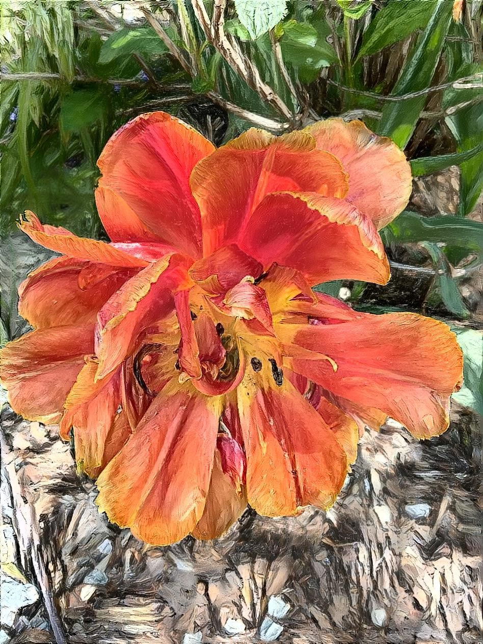 Big Orange Flower