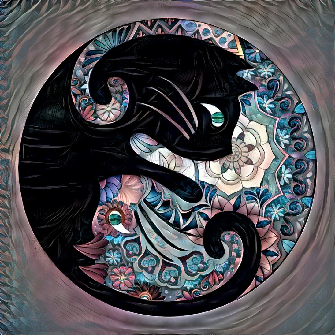 Cat Yin & Yang