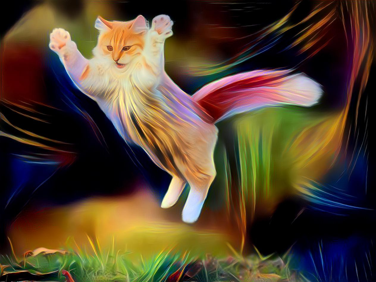 Dancing cat