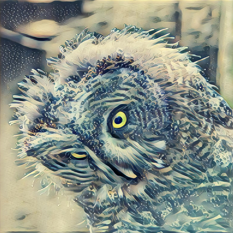 Owl