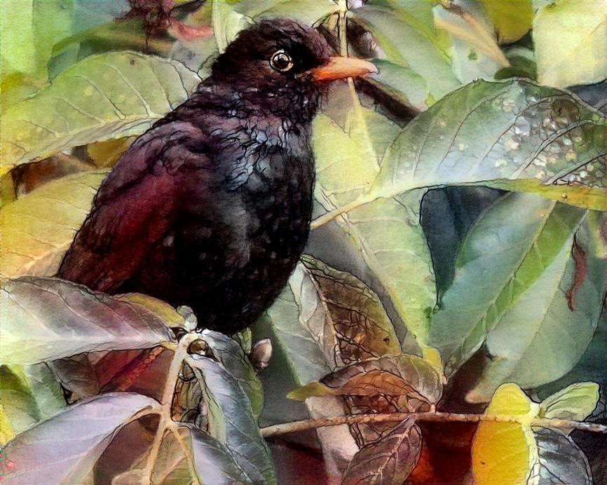 Another bad thing about winter is that the blackbird doesn't sing.