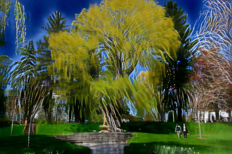 Firework Tree