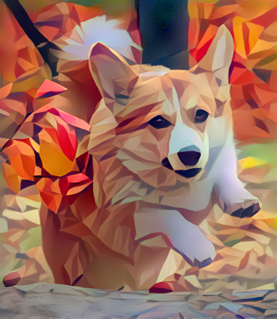 Corgi Dog